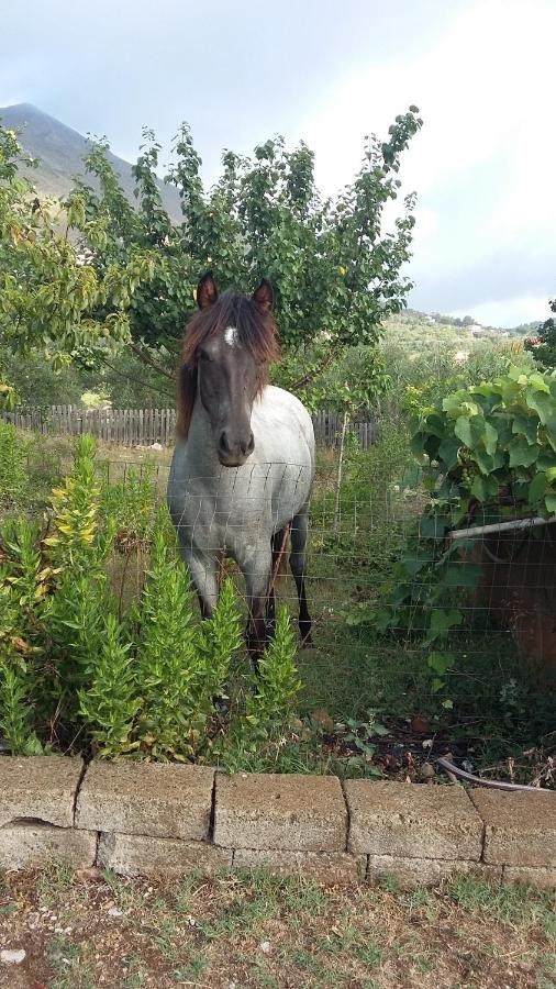 Azienda Agricola 25 Ponti Holiday home *