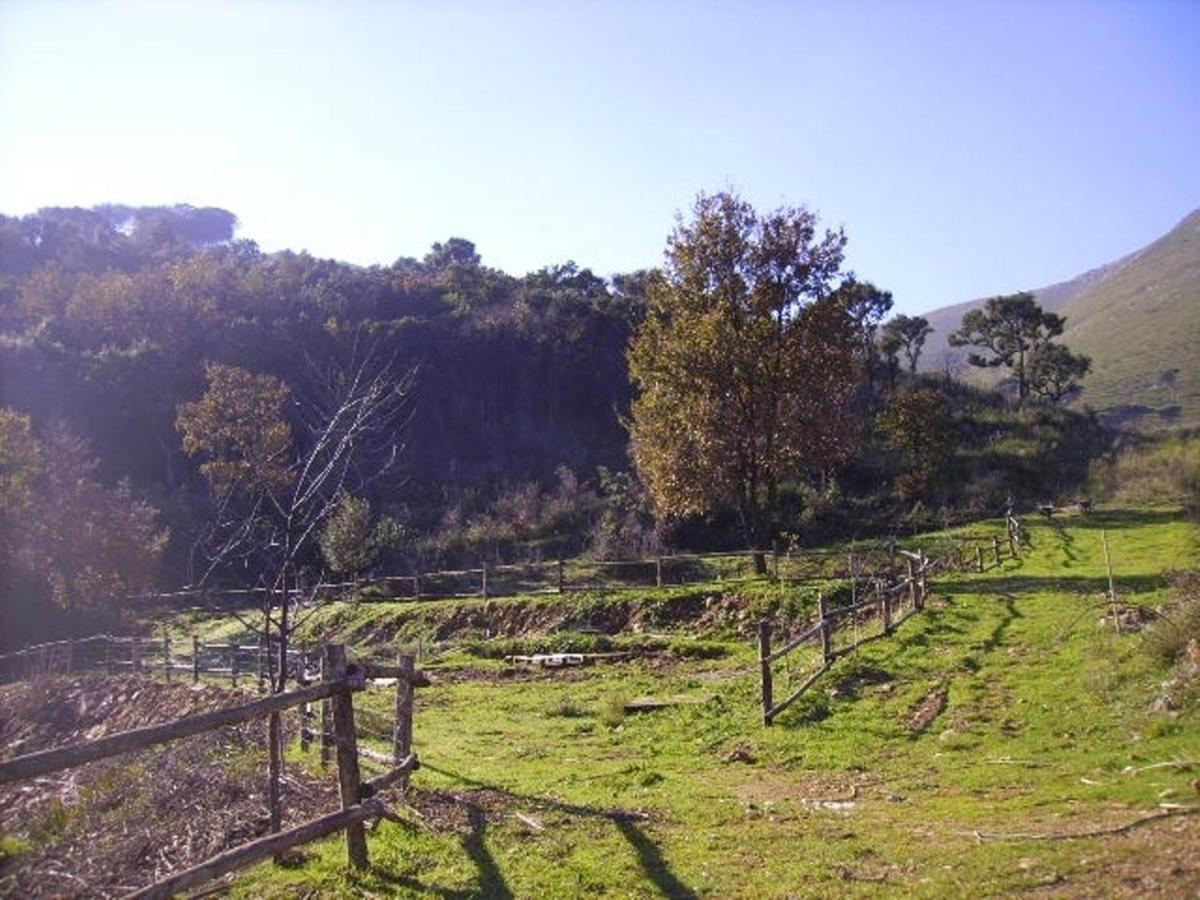 Azienda Agricola 25 Ponti *